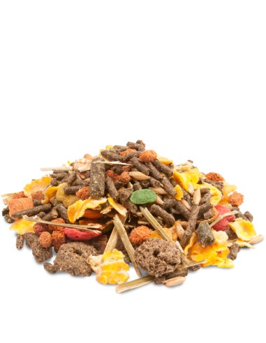 CRISPY MUESLI GUINEA PIGS CAVIA COBAYAS VERSELE...