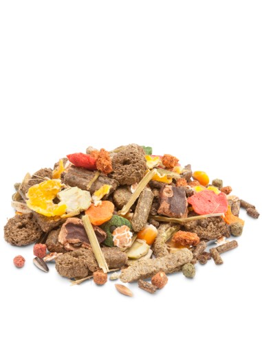 CRISPY MUESLI RABBITS VERSELE LAGA