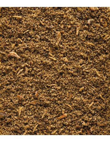 ORLUX INSECT PATEE VERSELE LAGA - 800 GR