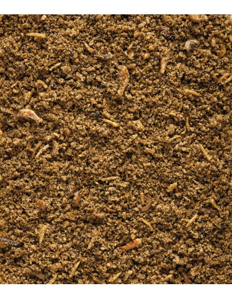 ORLUX INSECT PATEE VERSELE LAGA - 800 GR