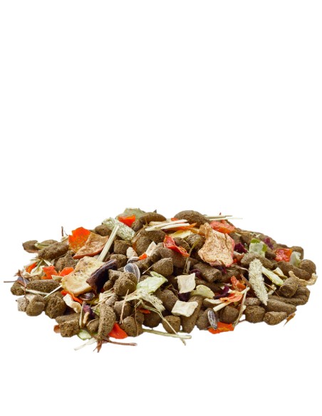 NATURE CUNI VERSELE LAGA