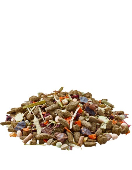 NATURE CUNI JUNIOR VERSELE LAGA - 700 GR