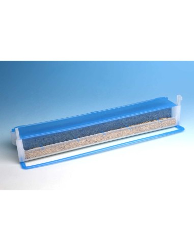 COMEDERO EL MURO MOLDES AVE