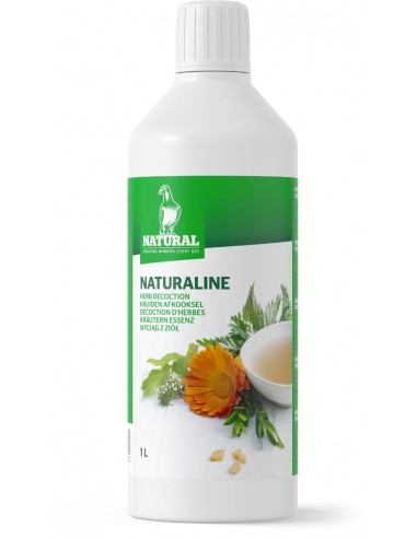 INE NATURAL - 1 LITRO