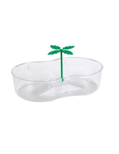 TORTUGUERA CON PALMERA COPELE