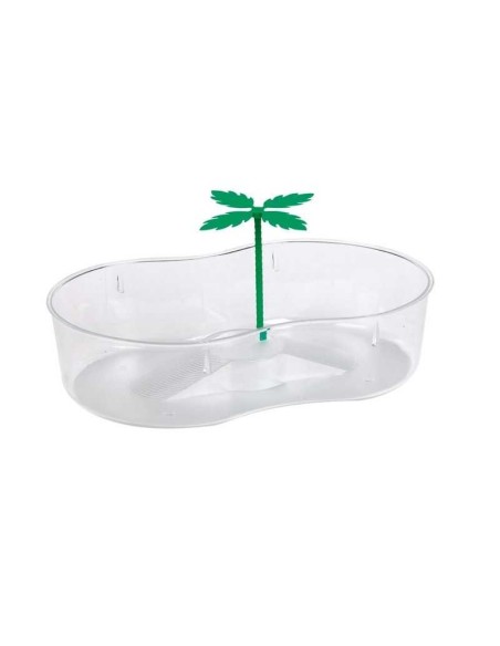 TORTUGUERA CON PALMERA COPELE