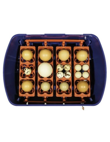 INCUBADORA REAL AUTOMÁTICA COPELE