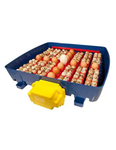 INCUBADORA REAL AUTOMÁTICA COPELE