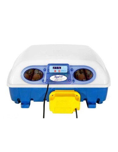 INCUBADORA REAL AUTOMÁTICA COPELE