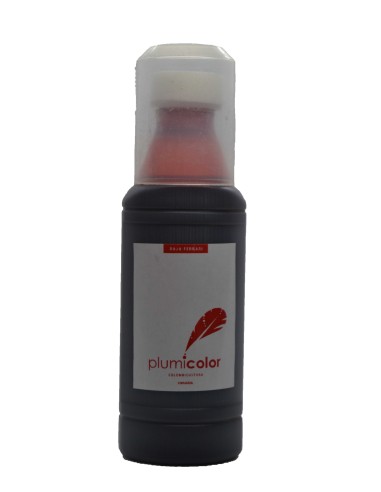 PINTURA PALOMOS PINTA FACIL 100 ML PLUMICOLOR