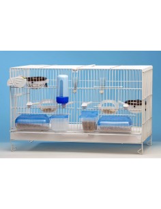 COMEDERO DOBLE TAPA AZUL MOLDES AVE 2