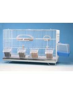 COMEDERO TULIPA PESTAÑA MOLDES AVE 2