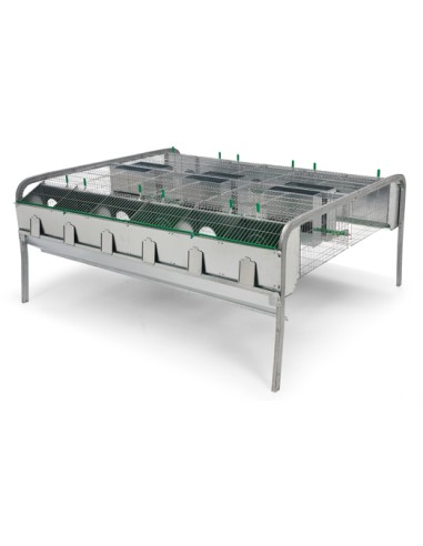 JAULA CONEJOS POLIVALENTE MODELO LEYBA 12...