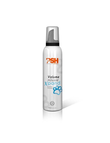 MOUSSE XPAND FOAM PSH - 300 ML