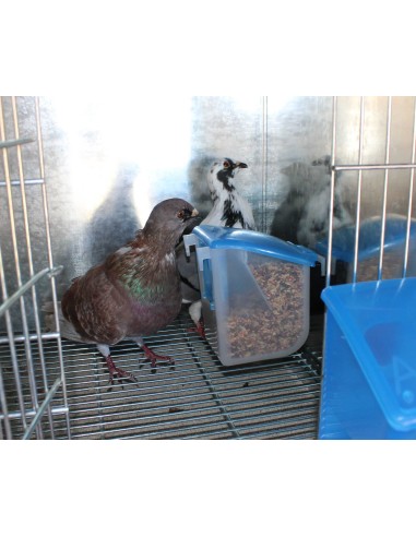 COMEDERO EL ABUELO 500 GR MOLDES AVE