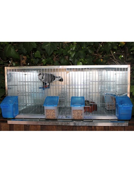 COMEDERO EL ABUELO 500 GR MOLDES AVE