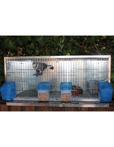 BEBEDERO EL ABUELO 500 ML MOLDES AVE