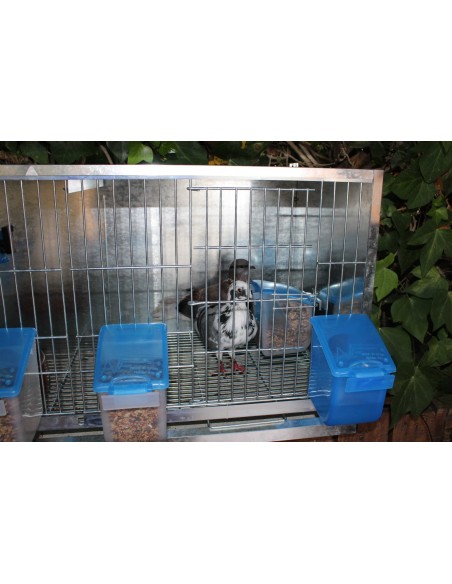 COMEDERO EL ABUELO 500 GR MOLDES AVE