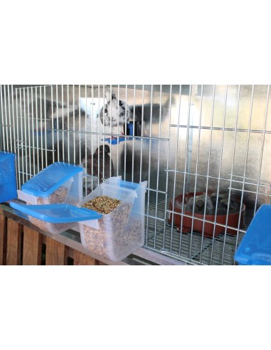 COMEDERO EL ABUELO 500 GR MOLDES AVE