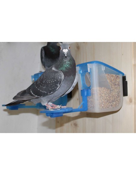 COMEDERO EL ABUELO 500 GR MOLDES AVE