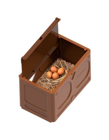 NIDO AVI PARA GALLINAS COPELE