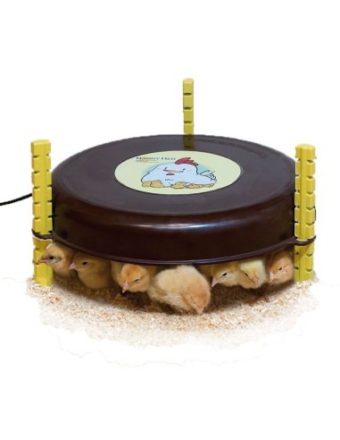 CALEFACTOR PARA POLLITOS NANNY HEN COPELE -...