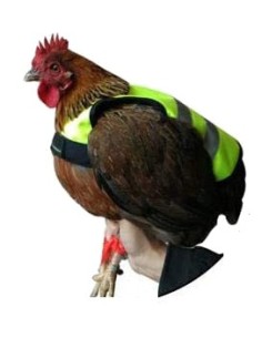 CHALECO REFLECTANTE PARA GALLINAS GAUN