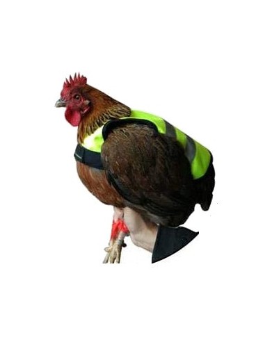 CHALECO REFLECTANTE PARA GALLINAS GAUN