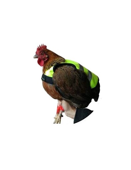 CHALECO REFLECTANTE PARA GALLINAS GAUN