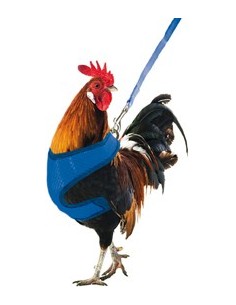 ARNÉS PARA GALLOS Y GALLINAS GAUN