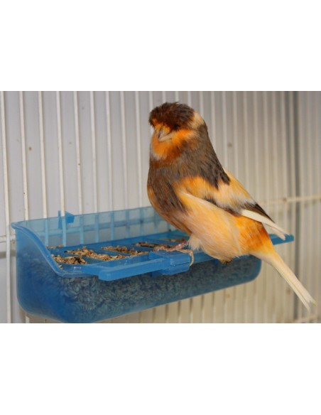 COMEDERO CELIA CON 4 SEMILLEROS MOLDES AVE
