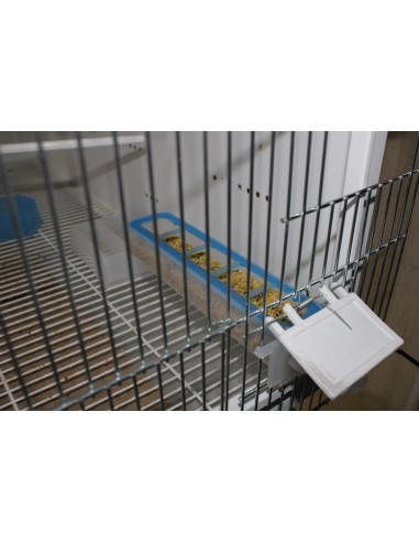 COMEDERO APOLO MOLDES AVE