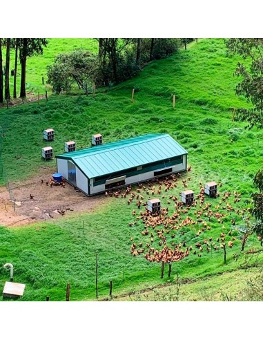 CORRAL MOVIL CONTINENTAL PARA GALLINAS COPELE