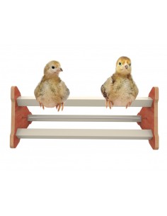 ASELADERO SUELO POLLITOS COPELE 2