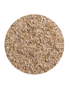 LECHUGA BLANCA PET CUP - 1,5 KG