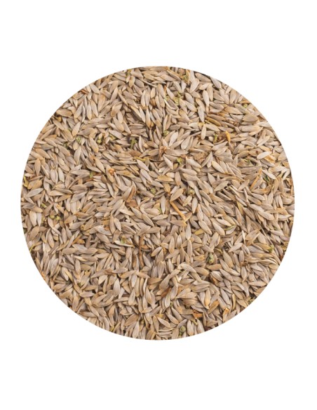 LECHUGA BLANCA PET CUP - 1,5 KG