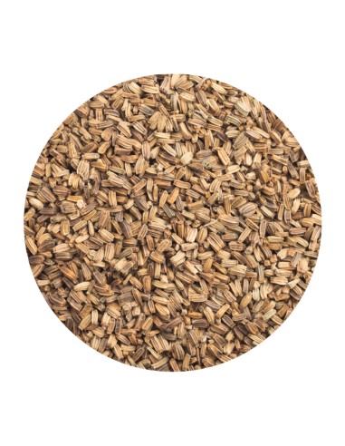 CARDÓN PET CUP - 1 KG