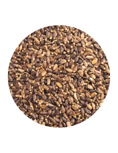 CARDO MARIANO PET CUP - 2 KG