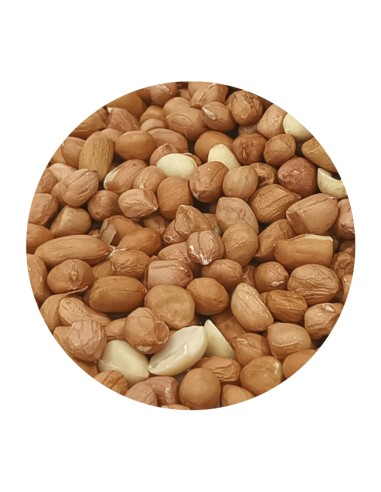 CACAHUETE SIN CASCARA PET CUP - 850 GR