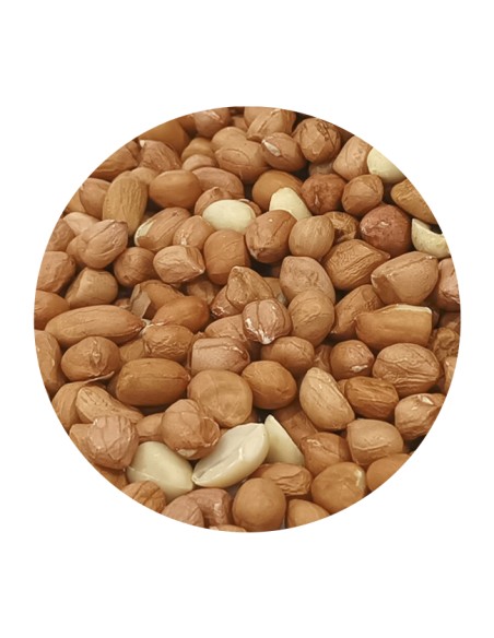 CACAHUETE SIN CASCARA PET CUP - 850 GR