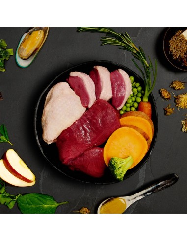 LATA DE CARNES DE CAZA PARA PERROS CANAGAN -...