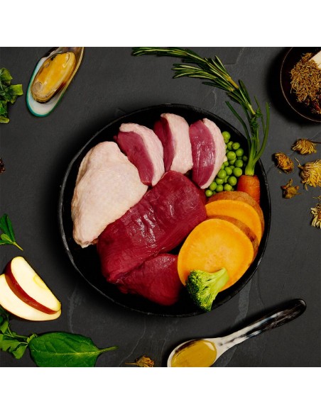 LATA DE CARNES DE CAZA PARA PERROS CANAGAN - 400 GR