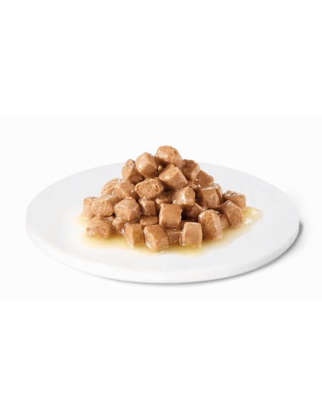 ADVANCE VETERINARY DIETS URINARY PARA GATOS AFFINITY ADVANCE - 85 GR