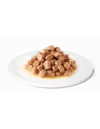 ADVANCE VETERINARY DIETS CAT GASTROENTERIC...