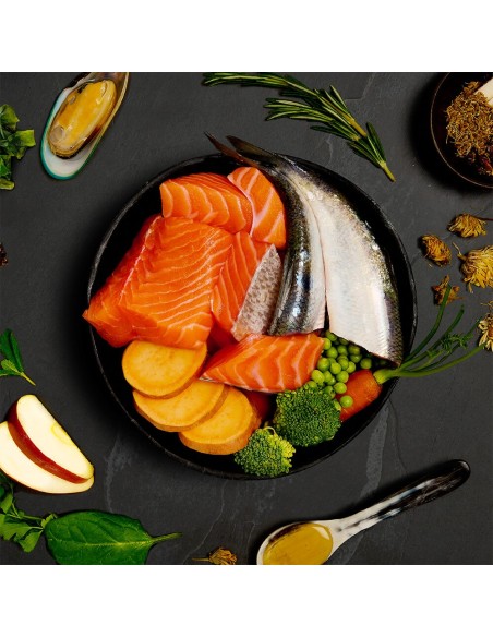 LATA DE CENA DE SALMÓN Y ARENQUE PARA PERROS CANAGAN - 400 GR