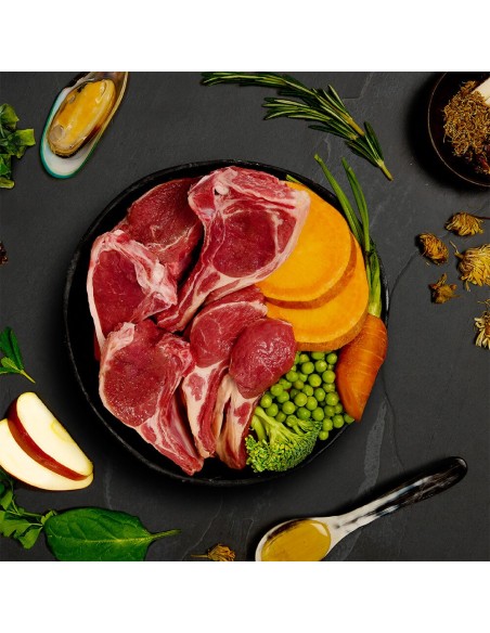 LATA DE ESTOFADO DE CORDERO PARA PERROS CANAGAN - 400 GR