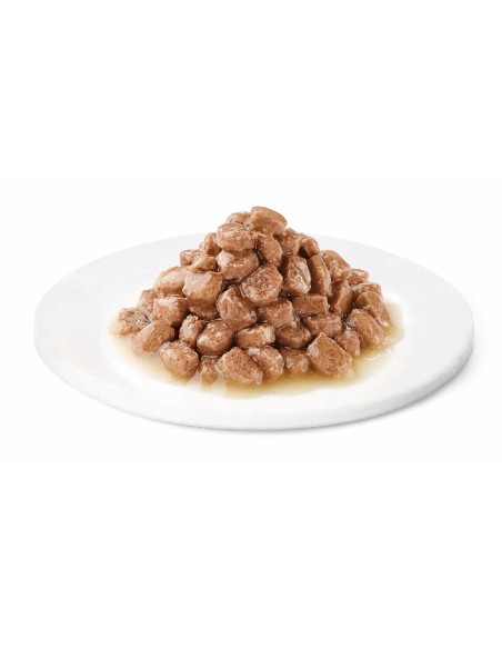 ADVANCE WET POLLO GATITOS AFFINITY ADVANCE