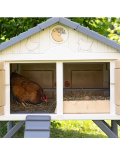MI PRIMER GALLINERO COPELE 2