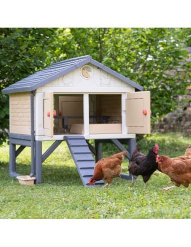 MI PRIMER GALLINERO COPELE