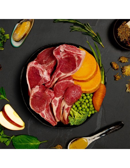 LATA DE PASTEL DE CARNE DE CORDERO PARA PERROS CANAGAN - 400 GR